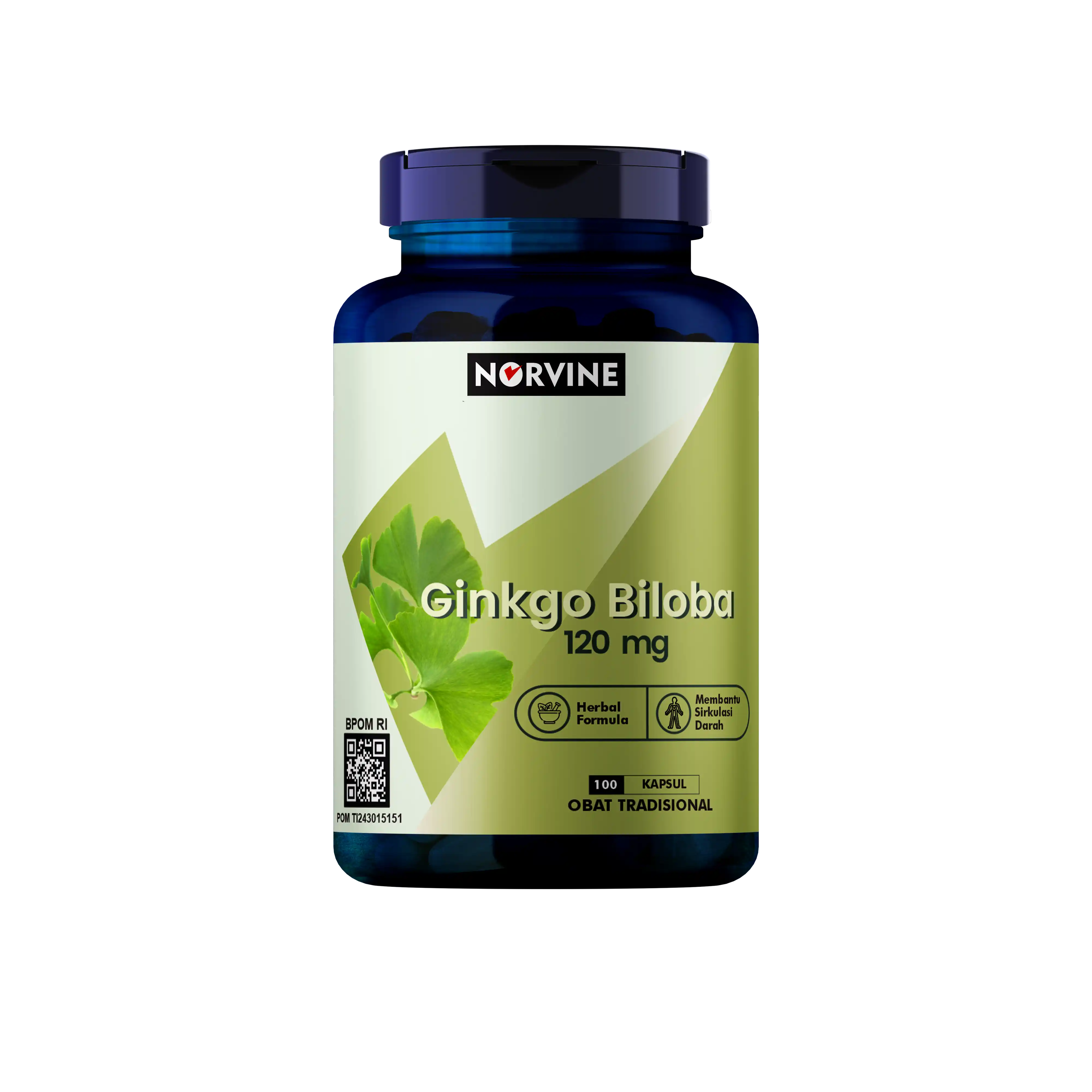 Norvine Ginkgo Biloba 100 Kapsul